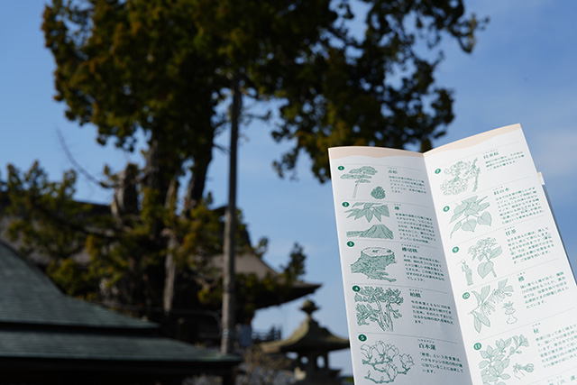 ニュー善光寺さん 草木の巻_02